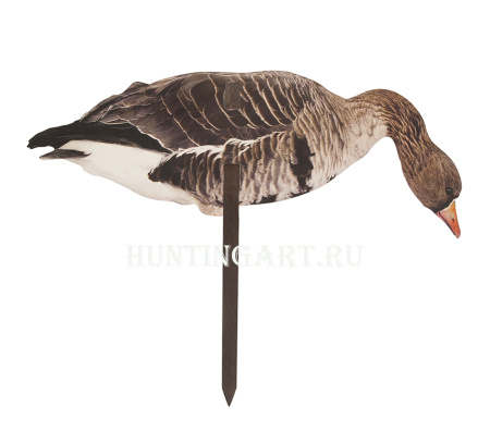 Комплект фотореалистичных профилей белолобого гуся 12 штук+сумка купить в интернет-магазине ХантингАрт