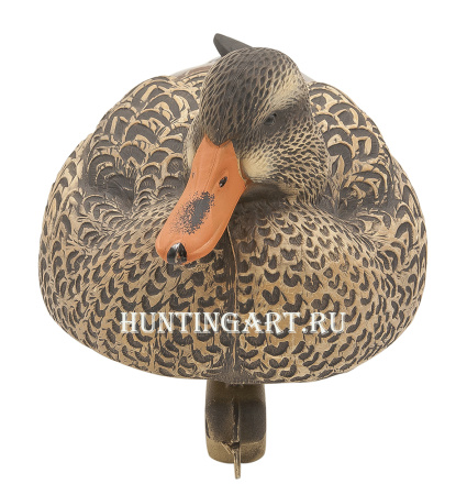 Чучела уток кряквы 12 шт (5 уток/7 крякв-флокированные головы) купить в магазине Хантингарт