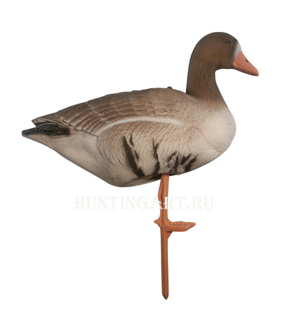 Картинка Комплект Birdland из 6 шт складных Белолобых чучел на опоре-стойке от интернет-магазина ХантингАрт Комплект Birdland из 6 шт складных Белолобых чучел на опоре-стойке купить в интернет-магазине ХантингАрт