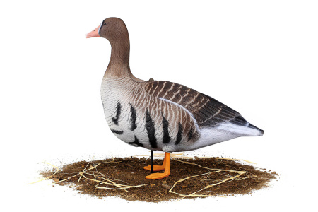 Комплект из 10 сминаемых чучел Белолобого гуся (6 кормящихся+2 отдыхающих+2 сторожевых) North Way SuperXPE 3D (Антиблик) купить в интернет-магазине ХантингАрт