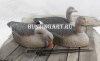 Комплект из 12 полукорпусных муляжей Серого гуся GreenHead купить в интернет-магазине ХантингАрт