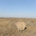 Маскировочные накидки купить в интернет-магазине ХантингАрт