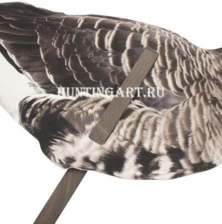 Комплект фотореалистичных профилей белолобого гуся 12 штук+сумка купить в интернет-магазине ХантингАрт