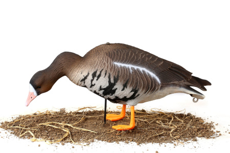 Чучела Белолобого гуся North Way Softplast Альфа, 6 штук (3 кормящихся,1 сторож,2 отдыхающих) купить в интернет-магазине ХантингАрт