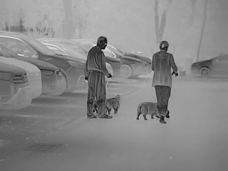 Тепловизионный монокуляр TK421 купить в интернет-магазине ХантингАрт