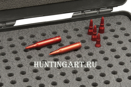 Кейс №2 BulletBox под 223REM (5.56X45), 222REM (5.56X43), 5.45X39, 5.6X39 на 130 патронов купить в магазине huntingart.ru