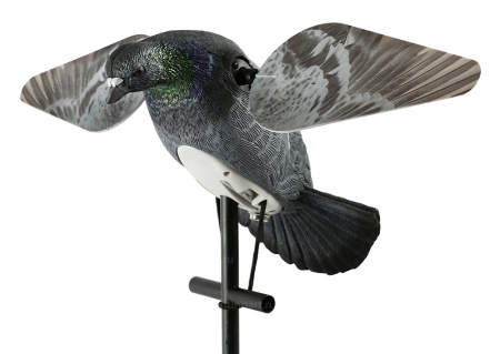 Чучело голубя с вращающимися крыльями Lucky HD Pigeon купить в интернет-магазине ХантингАрт