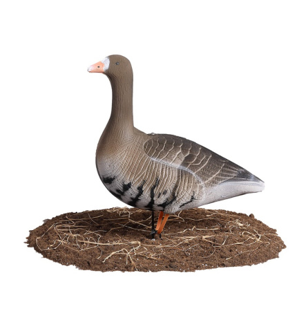 Комплект из 10 чучел Белолобого гуся North Way Живое перо S-XPE 3D (6 кормящихся+2 сторожевых+2 спящих) купить в интернет-магазине ХантингАрт