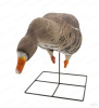Чучела Белолобых гусей Greenhead Gear серия Pro-Grade XD 71588 (комплект 6 шт) купить в интернет-магазине ХантингАрт