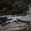 Картинка Нож Morakniv Companion Spark, с огнивом, нержавеющая сталь, клинок 104 мм от интернет-магазина ХантингАрт Нож Morakniv Companion Spark, с огнивом, нержавеющая сталь, клинок 104 мм купить в интернет-магазине ХантингАрт
