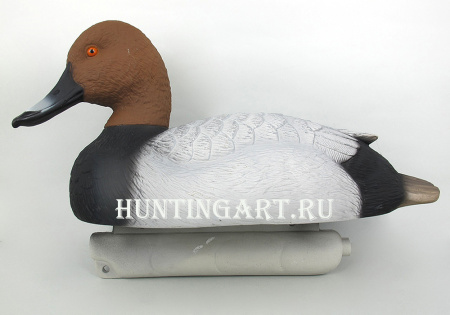 Комплект чучел 62 Breite - Нырок красноголовый (1 селезень, 1 утка) купить в магазине Хантингарт