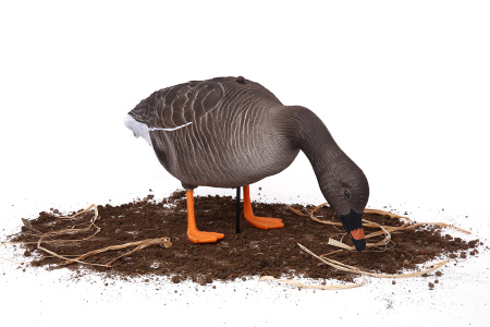 Комплект из 10 шт (6 кормящихся, 2 сторожевых, 2 отдыхающих) сминаемых чучел Гуменника Softplast 3D North Way купить в интернет-магазине ХантингАрт