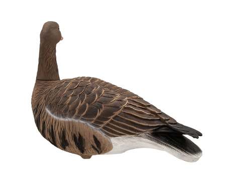 Белолобый гусь Avian-Mix Elite 3D, комплект 6шт купить в интернет-магазине ХантингАрт