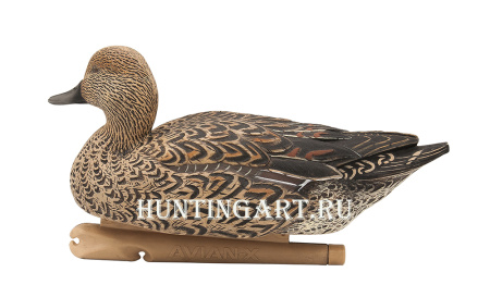 Картинка Комплект Avian-X Topflight Pintails из 6 шт (4 селезня/2 утки) чучел Шилохвости от интернет-магазина ХантингАрт Комплект Avian-X Topflight Pintails из 6 шт (4 селезня/2 утки) чучел Шилохвости купить в магазине Хантингарт