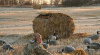 Засидка трёхместная Beavertail "валок" на гуся Haybale Outfitter Blind, камуфляж Advantage® MAX-4 купить в инетрнет-магазине ХантингАрт
