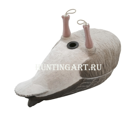 Чучела 62 Breite Серый гусь, комплект из 6 шт (1-сторожевой, 1-отдыхающий, 4-кормящихся) купить в интернет-магазине ХантингАрт