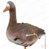 Чучело FGS гусь Белолобый (сторожевой, нефлоковый) купить в интернет-магазине ХантингАрт