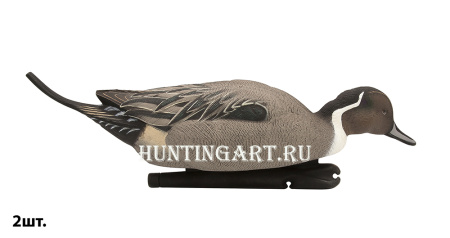 Картинка Комплект Avian-X Topflight Pintails из 6 шт (4 селезня/2 утки) чучел Шилохвости от интернет-магазина ХантингАрт Комплект Avian-X Topflight Pintails из 6 шт (4 селезня/2 утки) чучел Шилохвости купить в магазине Хантингарт