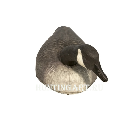 Картинка Надувные чучела Канадской казарки 6шт Cherokee Sport от интернет-магазина ХантингАрт Надувные чучела Канадской казарки 6шт Cherokee Sport купить в интернет-магазине ХантингАрт