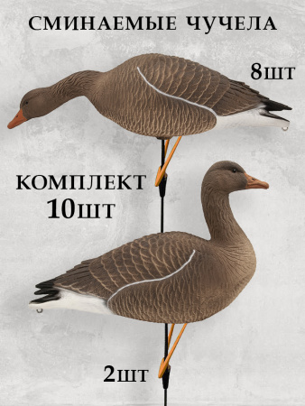 Чучела серого гуся, комплект 10 шт (8+2) увеличенный размер купить в интернет-магазине ХантингАрт