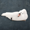 Лебедь Floater Swan, мягкий пластик (плавающий) 6шт купить в интернет-магазине ХантингАрт