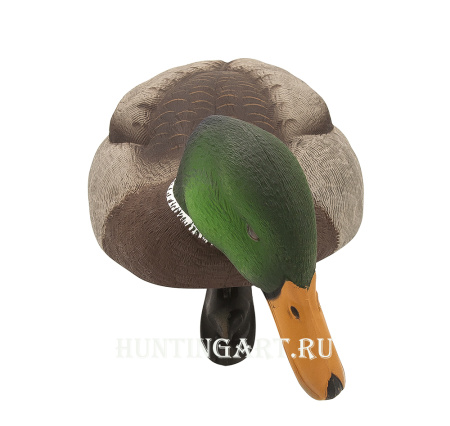 Комплект Avian-X Topflight Back Water Mallards из 6 кормящихся чучел кряквы (4 селезня/2 утки) купить в магазине Хантингарт