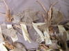 Трава "Stubble Rope" Corn Stubble купить в инетрнет-магазине ХантингАрт