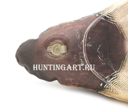 Декоративная Каролинская утка - купить в Санкт-Петербурге