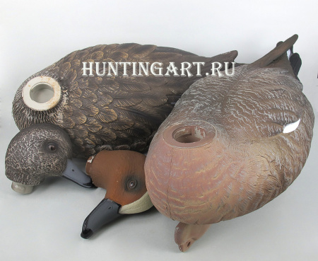 Комплект чучел 62 Breite - Свиязь: 1 шт (селезень), 1 шт (утка) купить в магазине Хантингарт