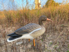 Серый гусь Elite 3D Greylag Goose, комплект 10 шт (8+2) мягкий пластик купить в интернет-магазине ХантингАрт