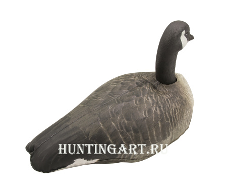 Картинка Надувные чучела Канадской казарки 6шт Cherokee Sport от интернет-магазина ХантингАрт Надувные чучела Канадской казарки 6шт Cherokee Sport купить в интернет-магазине ХантингАрт
