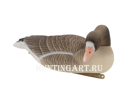 Комплект плавающих чучел Белолобого гуся Floater White fronted goose 3D Oscar Decoys, 6 шт в трех позах купить в интернет-магазине ХантингАрт