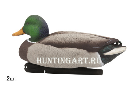 Комплект Avian-X Topflight Open Water Mallards из 6 кормящихся чучел кряквы купить в магазине Хантингарт