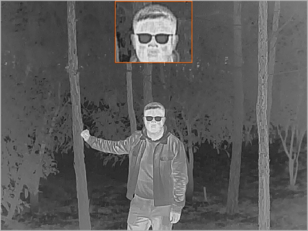 Тепловизионный монокуляр TK421 купить в интернет-магазине ХантингАрт