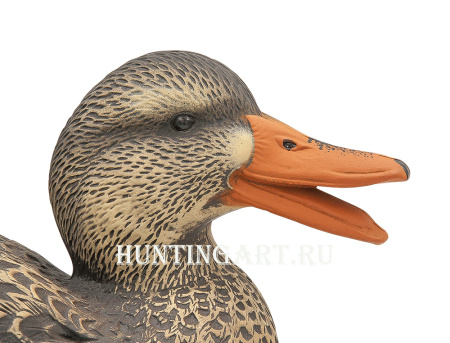 Чучела уток кряквы 12 шт (5 уток/7 крякв-флокированные головы) купить в магазине Хантингарт