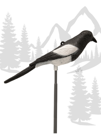 Чучело сороки купить в интернет-магазине ХантингАрт