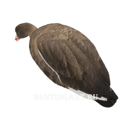 Чучела Белолобого гуся полнокорпусные, 6 шт (4 кормящихся, 2 активных) купить в интернет-магазине ХантингАрт