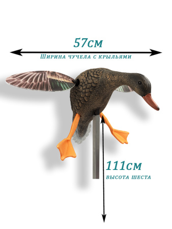 Механическое чучело утки кряквы с пультом управления купить в интерент-магазине Хантингарт