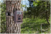 Камера Bushnell Trophy Cam HD Essential, 3,5-12 Мп купить в интернет-магазине ХантингАрт