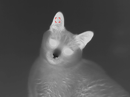 Тепловизионный монокуляр TK421 купить в интернет-магазине ХантингАрт