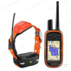 Система отслеживания перемещений собаки Garmin Alpha 100 c ошейником Alpha T5 купить в интернет-магазине Хантингарт