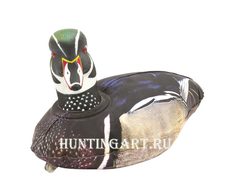 Декоративная Каролинская утка - купить в Санкт-Петербурге