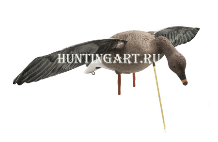 Гусь Гуменник, махокрыл купить в интернет-магазине ХантингАрт