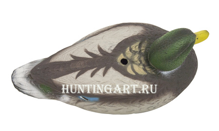 Комплект чучел кряквы Proplast MaxMatt 6 штук (3 утки, 3 селезня) купить в магазине Хантингарт