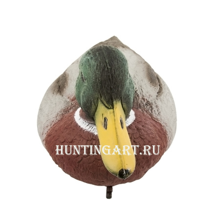 Чучело кряквы селезня Sport Plast плавающее купить в магазине Хантингарт