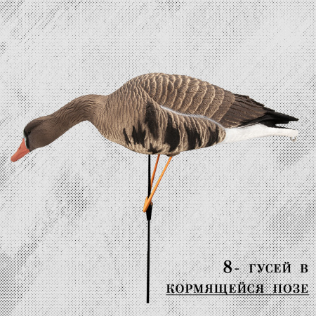 Белолобый гусь Speckbelly Goose Магнум, мягкий пластик 10шт (8+2) купить в интернет-магазине ХантингАрт