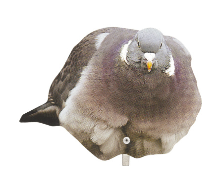 Профили лесного голубя вяхиря 10шт купить в интернет-магазине ХантингАрт