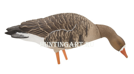 Комплект Avian-X из 6 полноразмерных чучел белолобого гуся с сумкой купить в интернет-магазине ХантингАрт