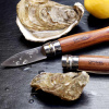 Нож для устриц Opinel серии Specialists for Foodies №09, клинок 6,5 см купить в интернет-магазине ХантингАрт