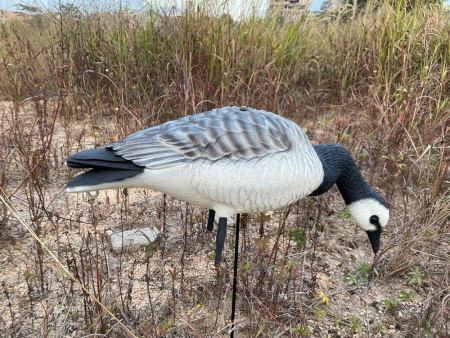 Казарка гусь Elite 3D Barnacles Goose, комплект 10 шт (8+2) мягкий пластик купить в интернет-магазине ХантингАрт